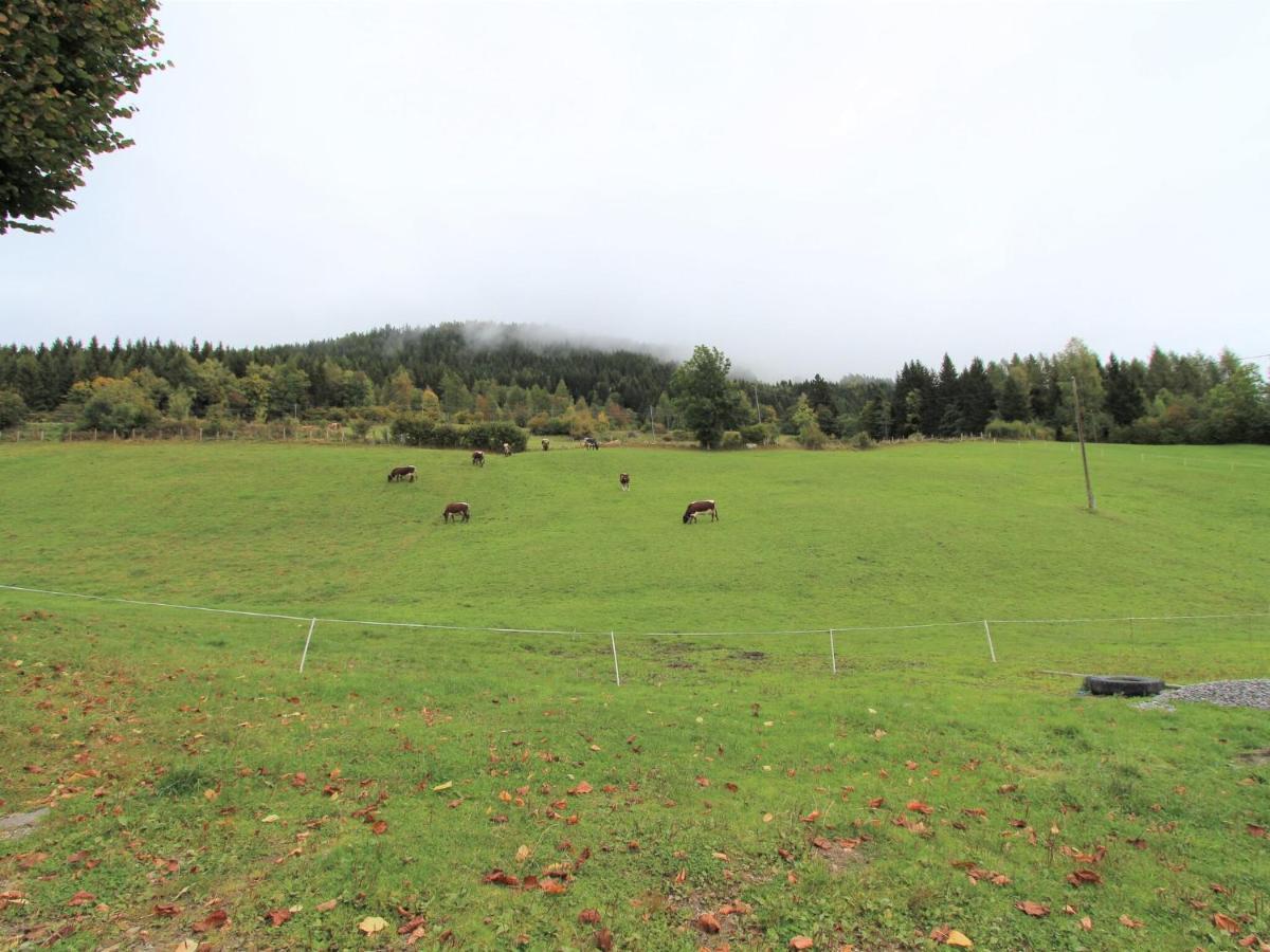 Beautiful Holiday Apartment In A Renovated Farmhouse In Fresach Carinthia ภายนอก รูปภาพ